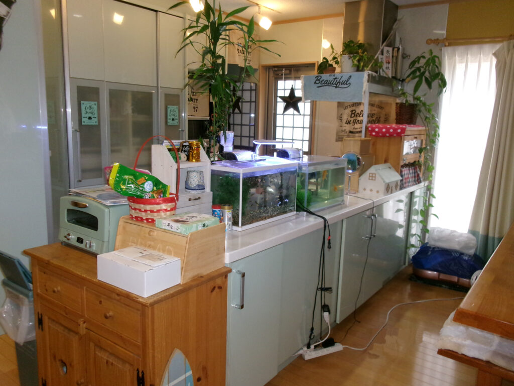 ライフスタイルの変化に合わせた総リフォーム　上尾市T様邸